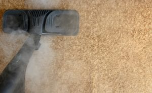 Understanding Our Methods for Commercial Carpet Cleaning
