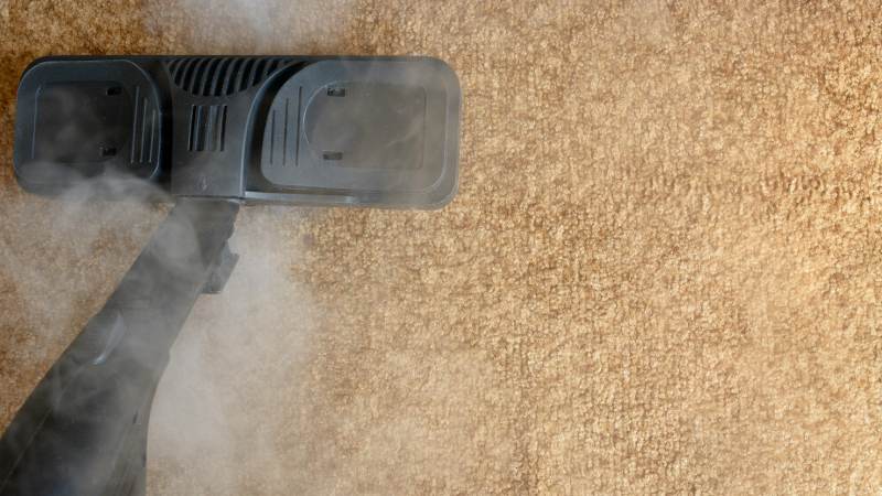 What Can I Expect During My Commercial Carpet Cleaning?