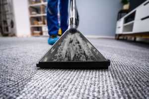 Give a Great Impression with Professional Carpet Cleaning