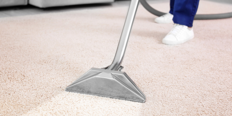 Professional Carpet Cleaning: Refresh Your Business!
